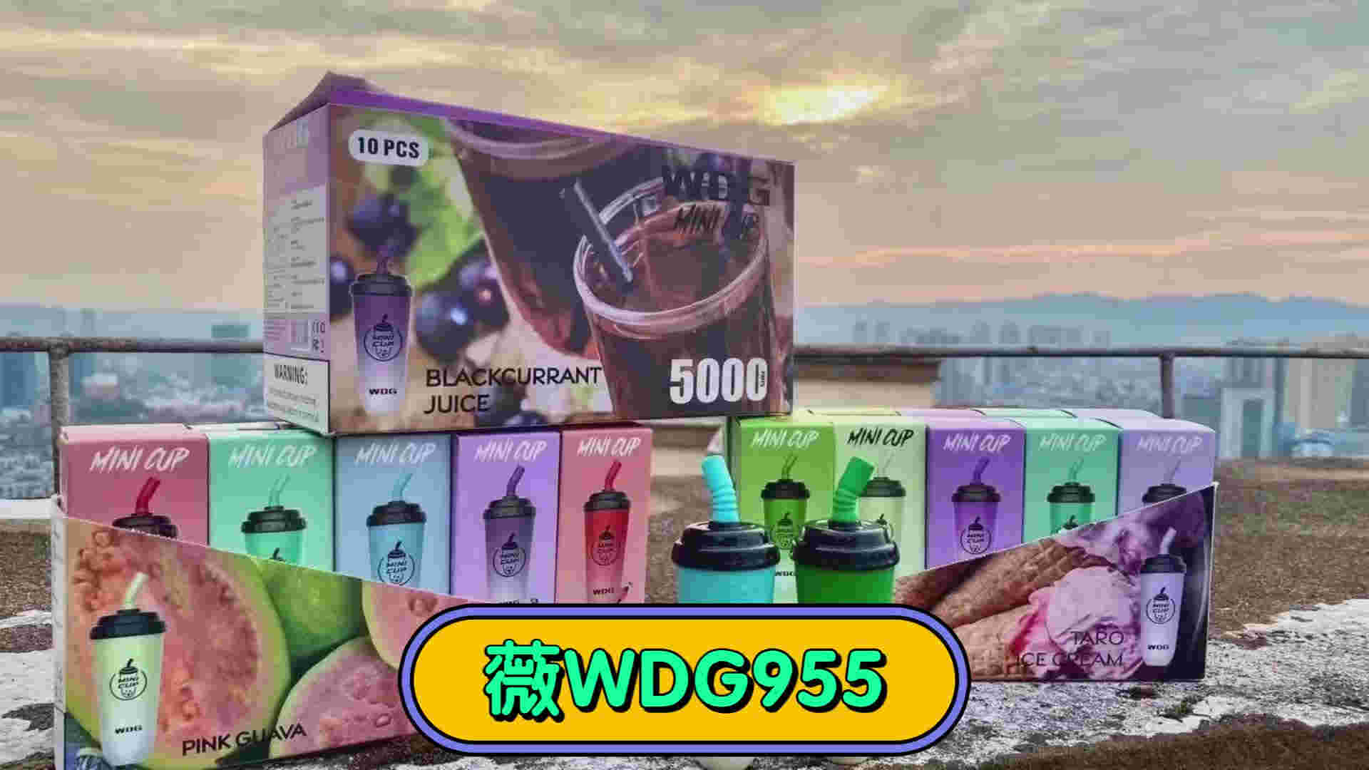 wdg奶茶杯哪里买-2023已更新(今日/更新)-第1张图片-脉络网 wdg奶茶杯哪里买-2023已更新(今日/更新)-第1张图片-脉络网
