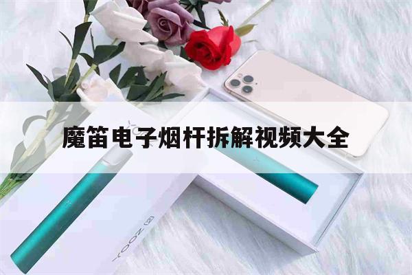 魔笛电子烟杆拆解视频大全(魔笛电子烟杆拆解视频大全图解)-第1张图片-电子烟烟油论坛