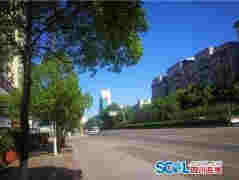 区域站点最高气温41.9℃ 这几天广元为什么这样热