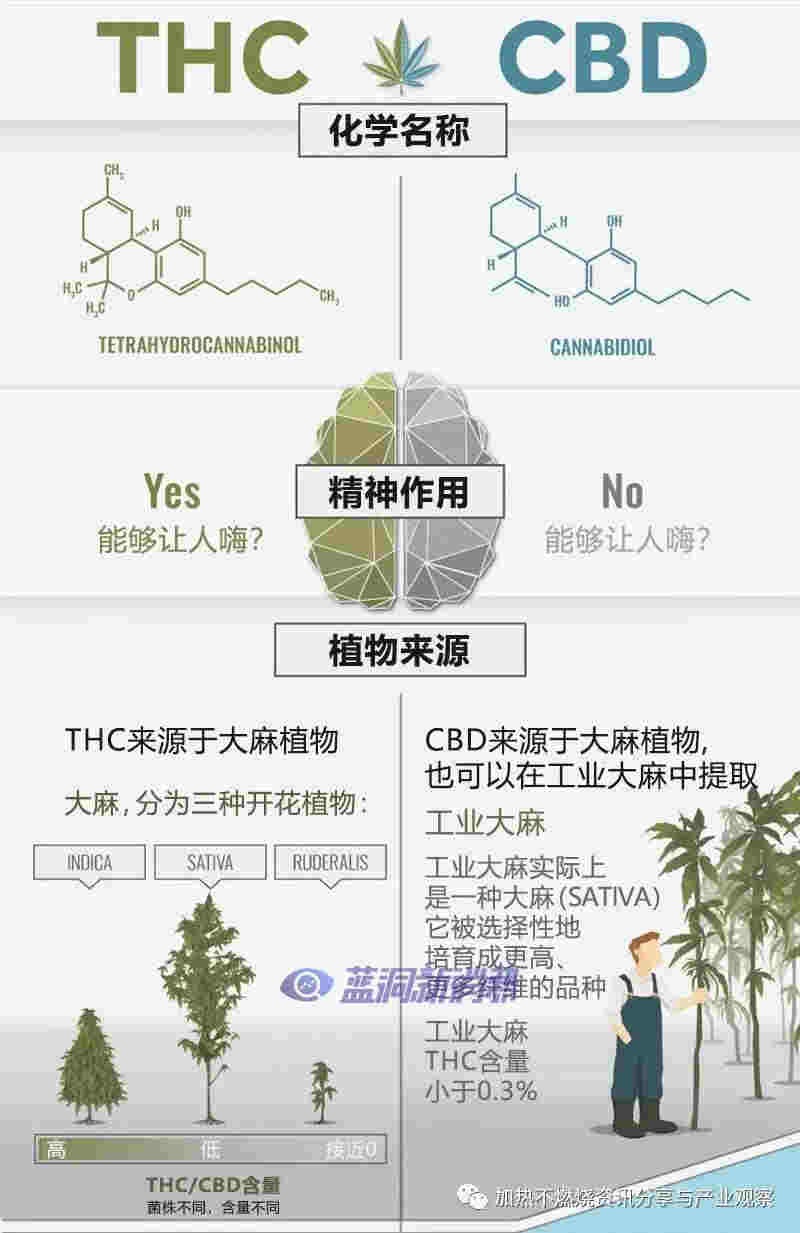 HNB浪潮下的新机遇?日本市场推出新型加热不燃烧茶叶棒“CBD HEAL”