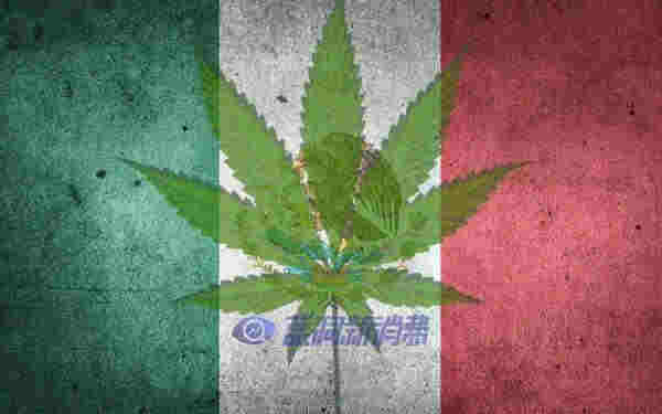 刚刚,墨西哥正式通过大麻合法化,成为全球第三个大麻完全合法化的国家!