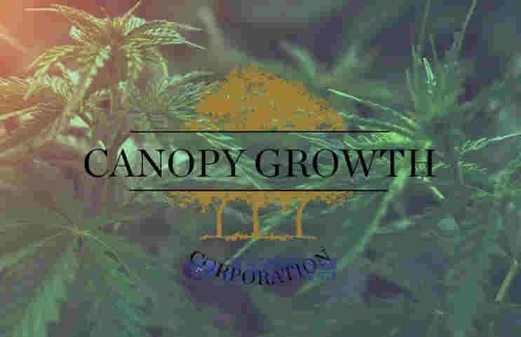 刚刚,墨西哥正式通过大麻合法化,成为全球第三个大麻完全合法化的国家!