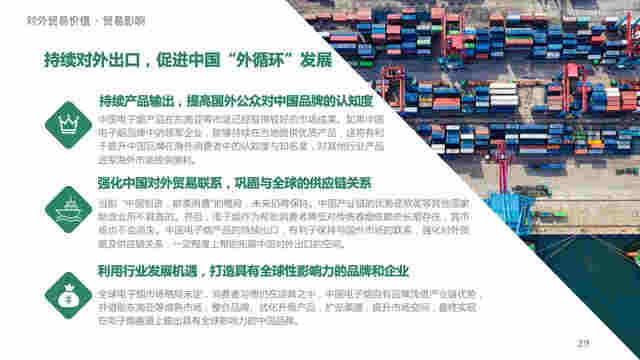 中国电子烟行业价值洞察报告2020 