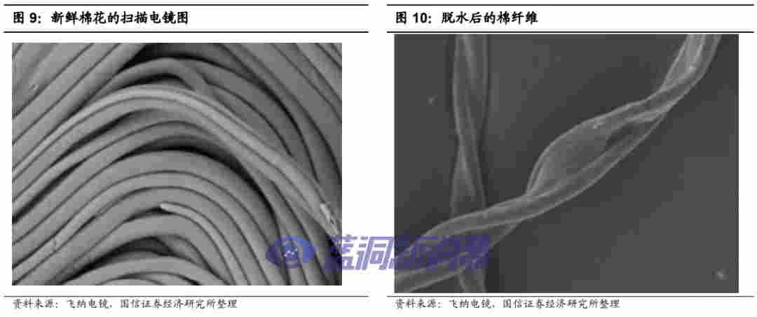 国信证券:电子烟技术难在哪里,如何影响竞争格局