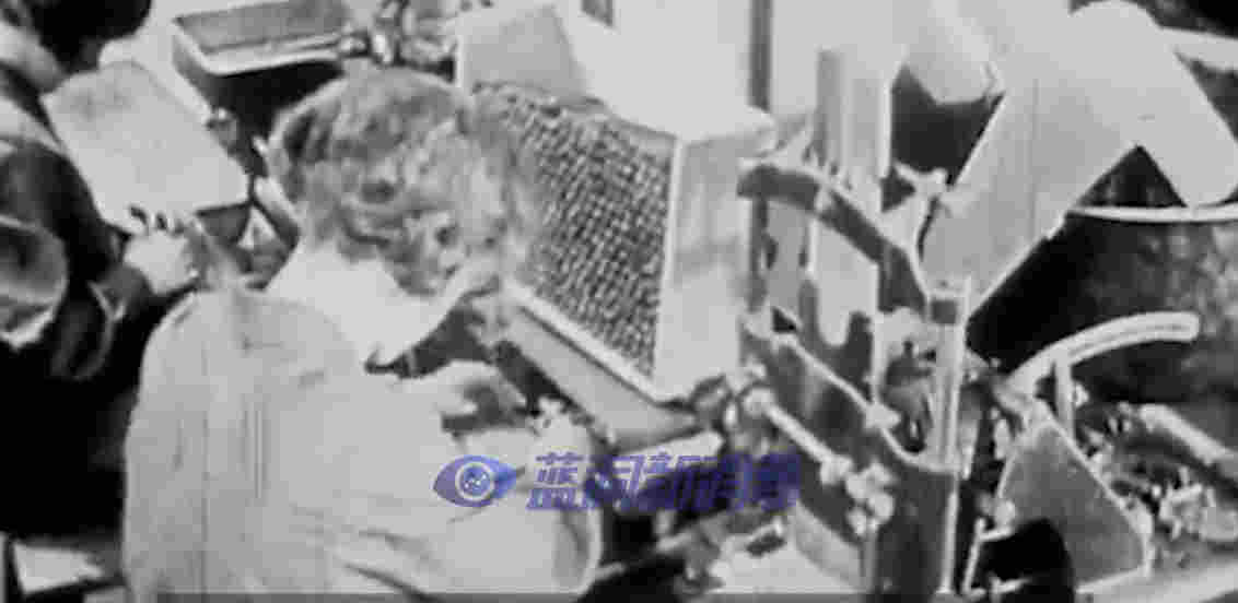 香烟与电子烟的前世今生，15分钟短视频带你一趟走完 