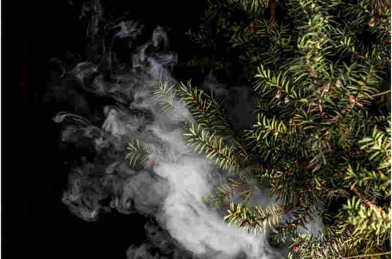 世卫组织对“有害”电子雾化烟发出警告