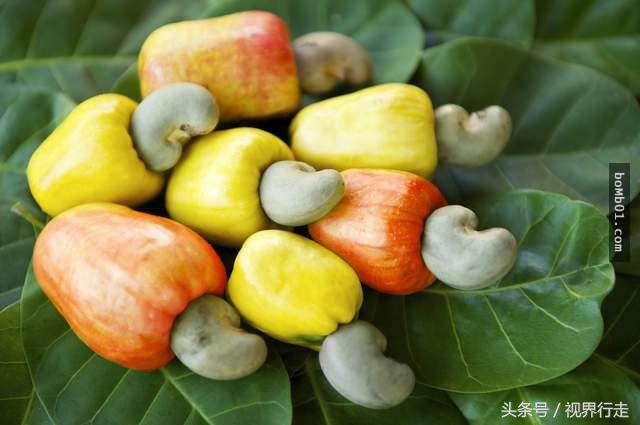 vtv电子烟 腰果花(vtv电子烟腰果花联名)