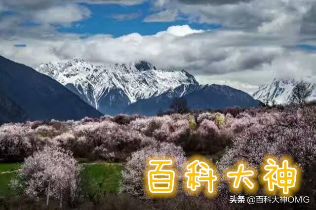 深圳和元 电子烟(深圳电子烟生产工厂)